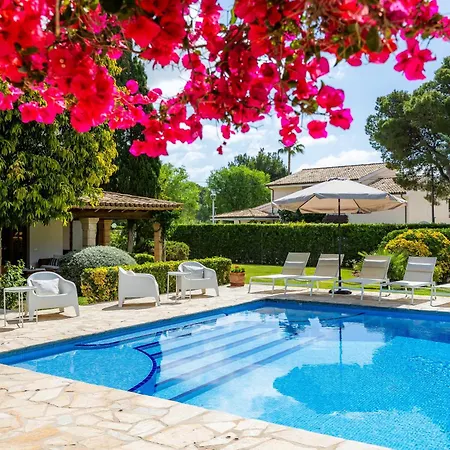 Toni بويينسا
